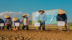 Cara BI Perkuat Ketahanan Pangan Maluku Utara