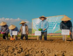 Cara BI Perkuat Ketahanan Pangan Maluku Utara