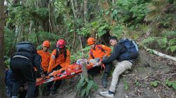 Tim SAR Gabungan Evakuasi Satu Pendaki Perempuan di Gunung Gamalama