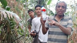 Pendaki Asal Jepang Tersesat Selama Empat Hari di Gunung Ibu