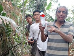 Pendaki Asal Jepang Tersesat Selama Empat Hari di Gunung Ibu