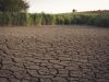 El Nino Ancam Taliabu, Pemkab Siapkan Cadangan Air dan Satgas