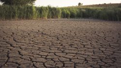 El Nino Ancam Taliabu, Pemkab Siapkan Cadangan Air dan Satgas