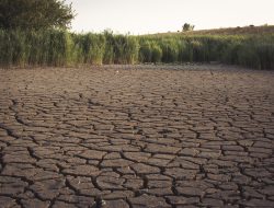 El Nino Ancam Taliabu, Pemkab Siapkan Cadangan Air dan Satgas