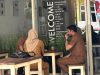 Plt Kadis Perindag Malut Terlihat Nongkrong di Kafe Saat Jam Kerja, Warga Soroti Disiplin ASN