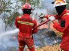 Begini Respons Terpadu NHM dalam Penanganan Karhutla di Gosowong