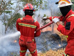 Begini Respons Terpadu NHM dalam Penanganan Karhutla di Gosowong