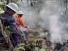 Belum Reda Kemarau dan Kebakaran Hutan di Malut