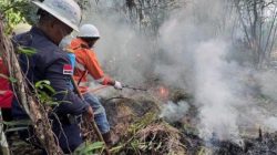 Belum Reda Kemarau dan Kebakaran Hutan di Malut