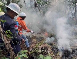 Belum Reda Kemarau dan Kebakaran Hutan di Malut