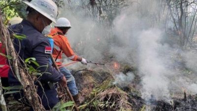 Belum Reda Kemarau dan Kebakaran Hutan di Malut