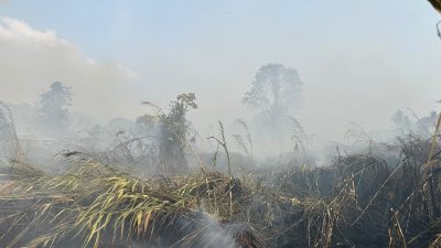 Kebakaran Dua hektar Lahan Nyaris ke Permukiman Rumah Warga Pulau Taliabu