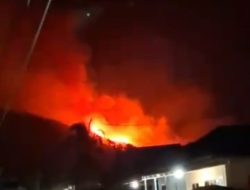 Karhutla: 12 Hektar Lahan Cengkeh Warga Taliabu Terbakar