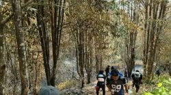 Update Karhutla: 645,78 Hektare Lahan di Pulau Taliabu
