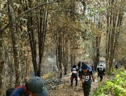 Update Karhutla: 645,78 Hektare Lahan di Pulau Taliabu